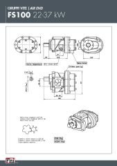 Fini FSN FS100 Vida – 22 / 37 kW | Air End – Kompresör Vida Grubu #5308000110