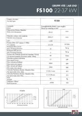 Fini FSN FS100 Vida – 22 / 37 kW | Air End – Kompresör Vida Grubu #5308000110