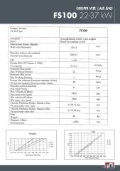 Fini FSN FS100 Vida – 22 / 37 kW | Air End – Kompresör Vida Grubu #5308000110