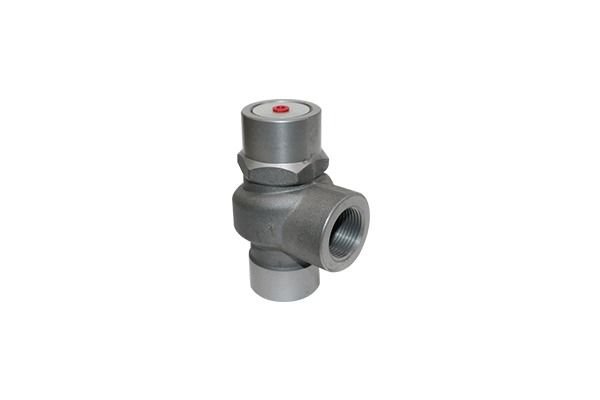 MPVL50B Minimum Basınç Valfi – 13–16 m³ | 75–90 kW | 16 Bar