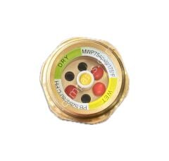 Eagurt SY-TSJ Glass Gauge – 16 Bar Pressure Resistant